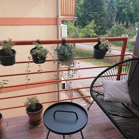 Koko Apartman Vrnjacka Banja Exterior photo