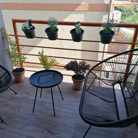 Koko Apartman Vrnjacka Banja Exterior photo