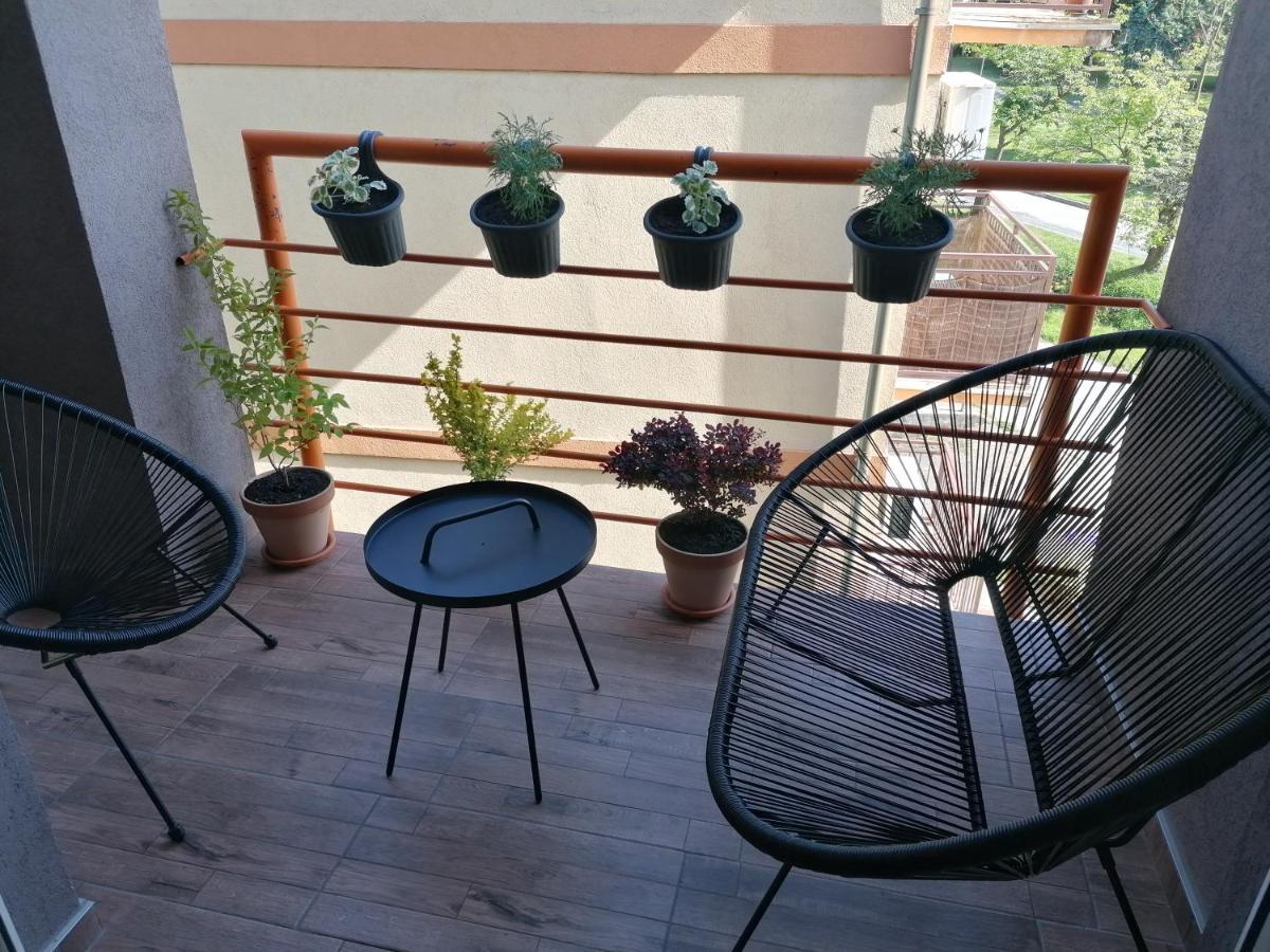 Koko Apartman Vrnjacka Banja Exterior photo